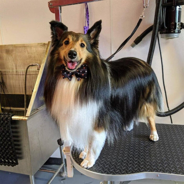 75349072 2625925570988337 216240913180000256 n 1024x1024 1 768x768