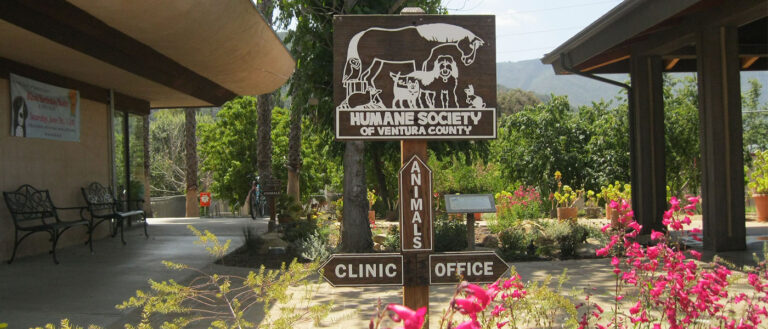 About Us Us Banner 768x329