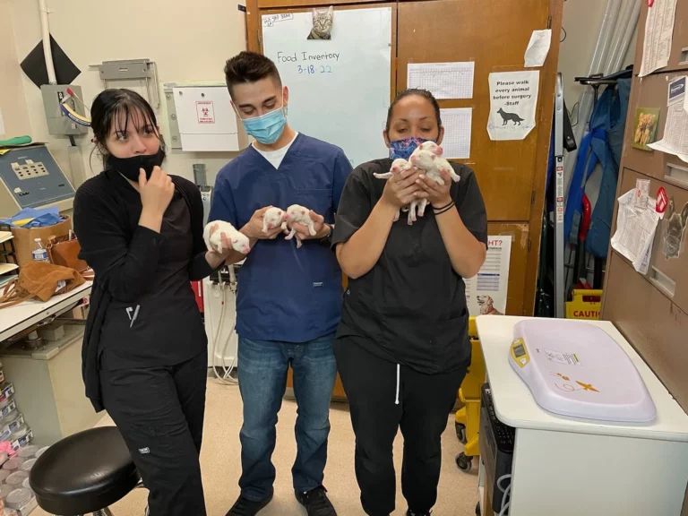 IMG 1742 1920w.jpg 768x576