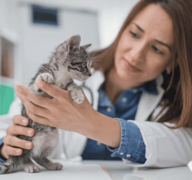 sept24 homepage doctor cat 812x760 1 768x719