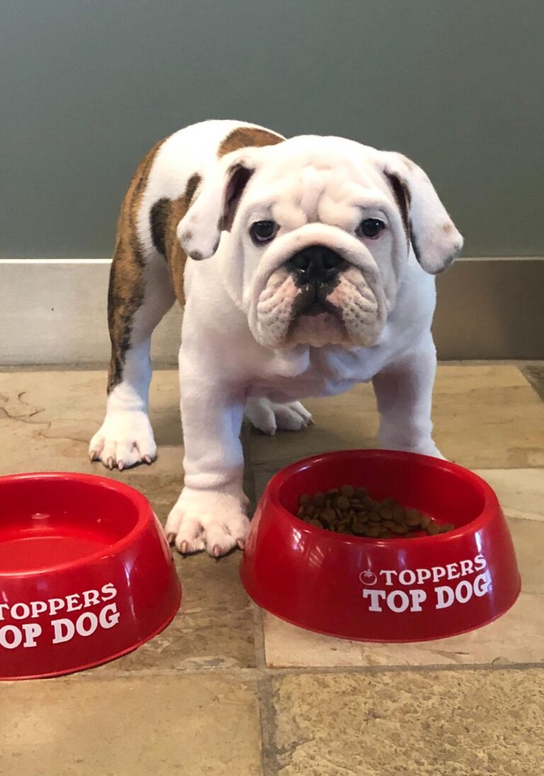 157669089 5165922300148677 3738999451816361235 n 768x1094