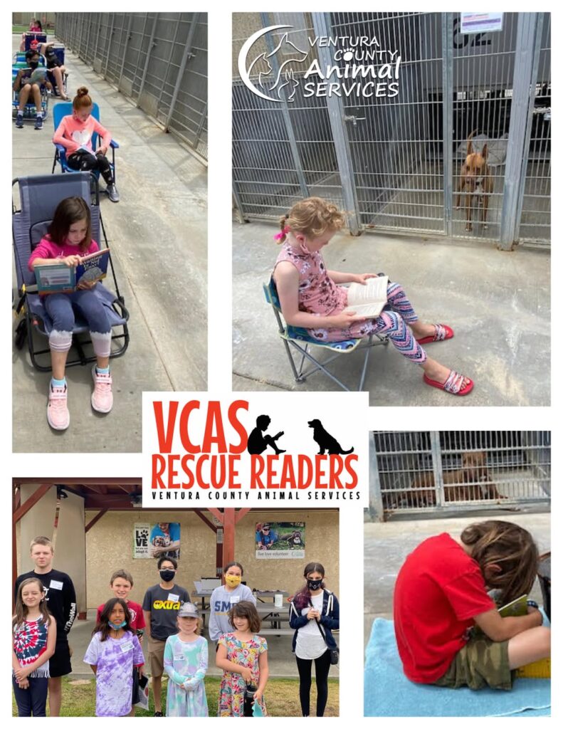 197719431 4420286741329542 3146470360042428182 n 791x1024