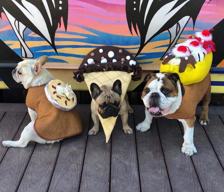 45081622 2268788489862087 3282355599790047232 n 768x658