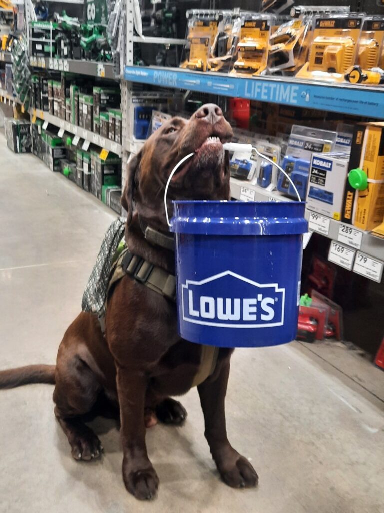 468980122 2860004694306963 7821543308291881285 n 768x1024