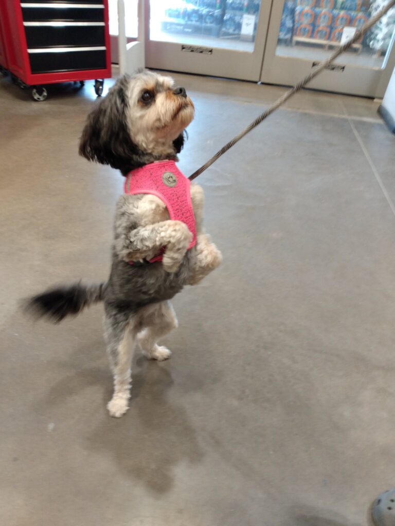 469048579 2860003460973753 1816239217160261579 n 768x1024