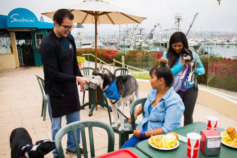 472320186 10164466102594638 3583335231904831248 n 768x512