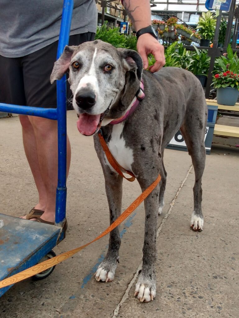 480251017 1173436268116620 7079062316285372195 n 768x1024