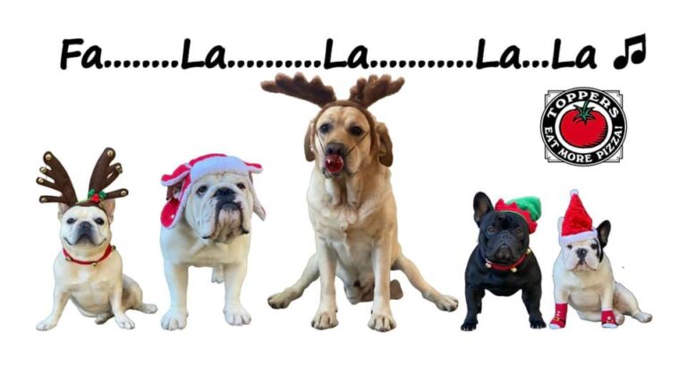 482065555 28588305257483718 2105031691861000896 n 768x438