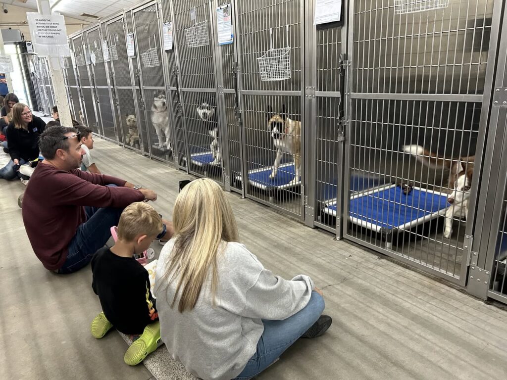 486104622 1048273190680401 349248219335149471 n 1024x768