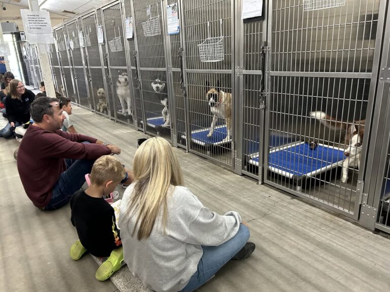 486104622 1048273190680401 349248219335149471 n 768x576