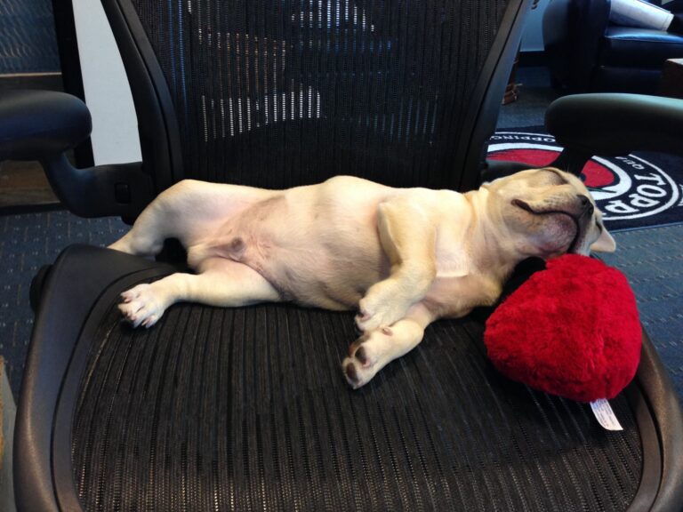 505816395 29863953163252248 2059662290392660177 n 768x576