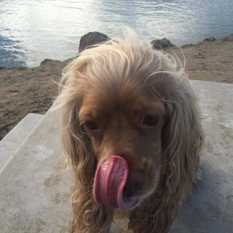 509602391 9957437987673975 7209624770357661886 n 768x768