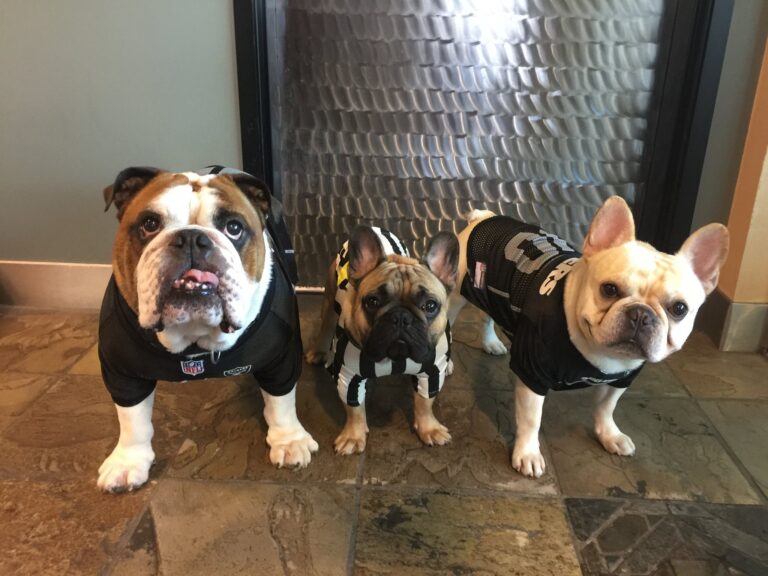 509609200 30023752740605622 7713201496771856559 n 768x576