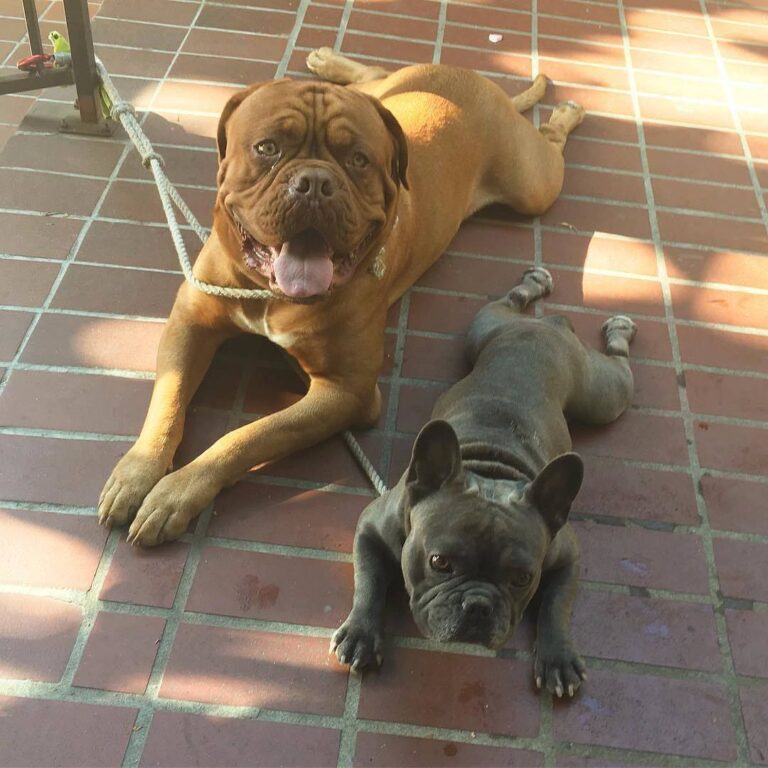 510913175 9955559877861786 6338426485981738095 n 768x768