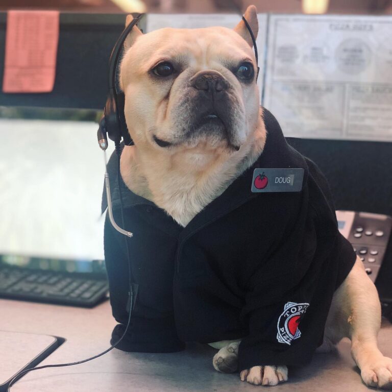 61236627 2700259996714932 1581475377216225280 n 768x768