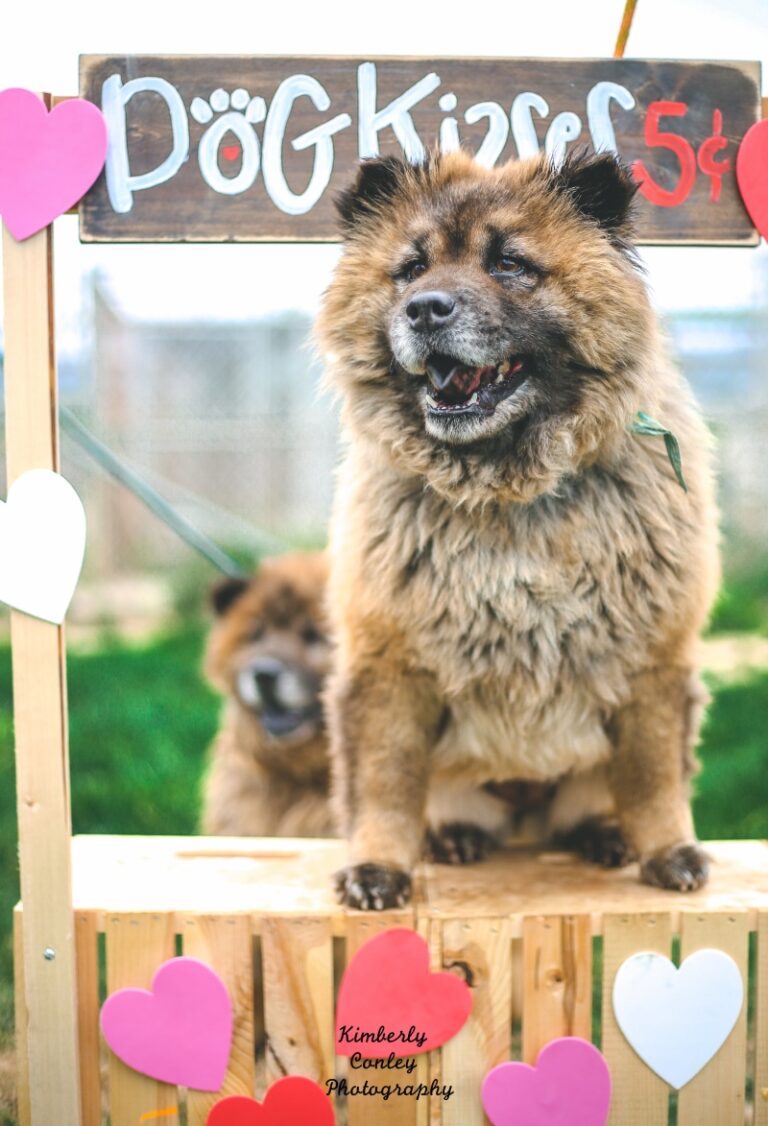 Bernie Kissing 800px 768x1126