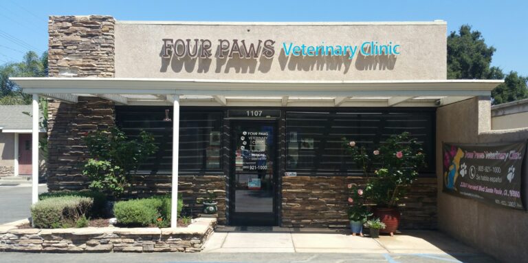 20170818 112009 resized 768x382