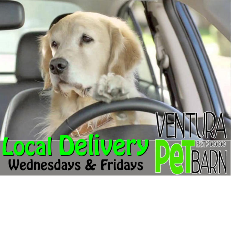 Local Delivery Dog 1 768x768