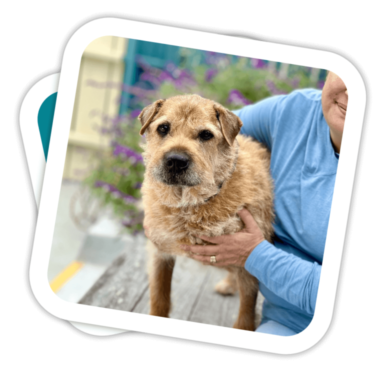 buster rounded polaroid 1066x1033 1 768x744