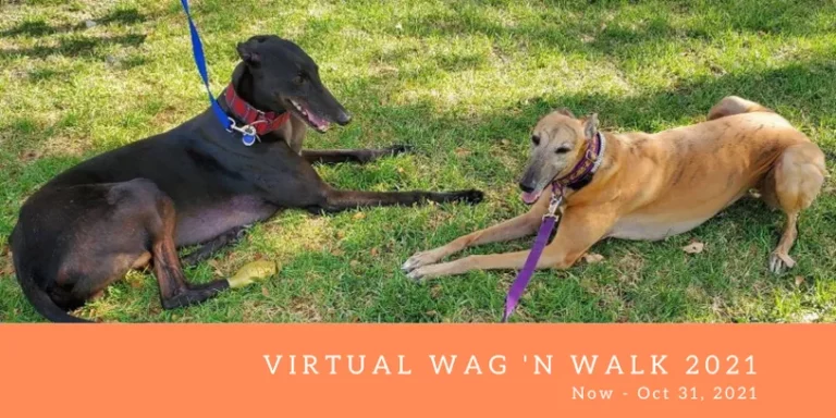 crw 814h 407 768x384