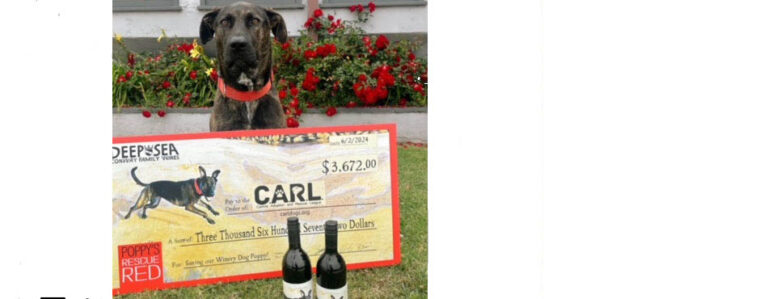 deep sea vta slideshow 768x299