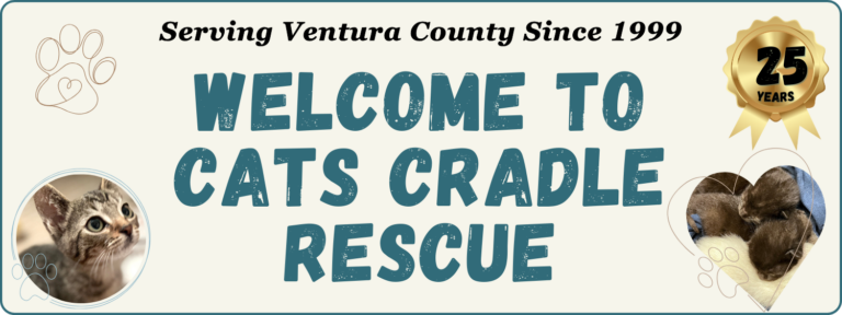 s1042nv3typzyamm 768x288