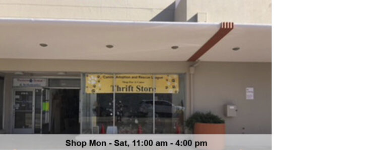 thriftstore slideshow 768x299