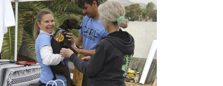 volunteer slideshow 768x299