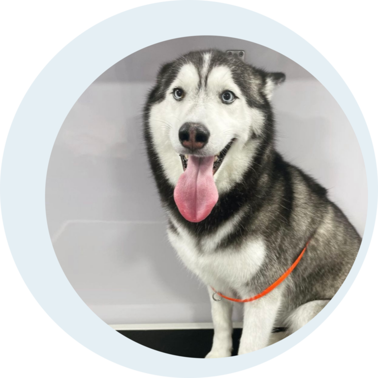 Group 2 1536x1536 1 768x768