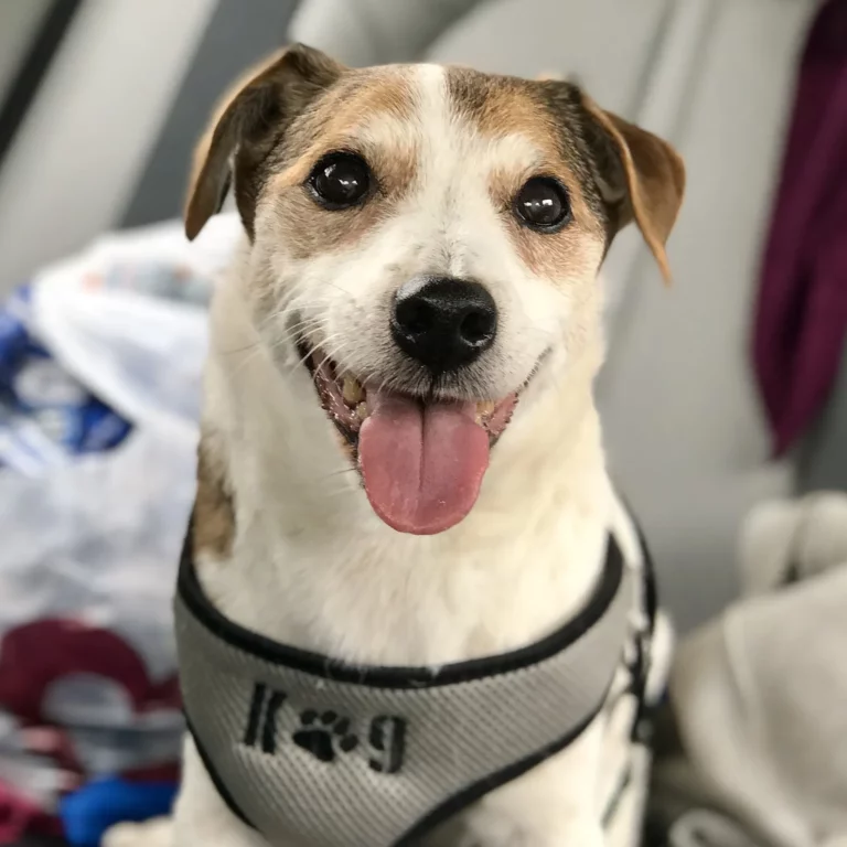 IMG 1019 1920w.jpg 768x768