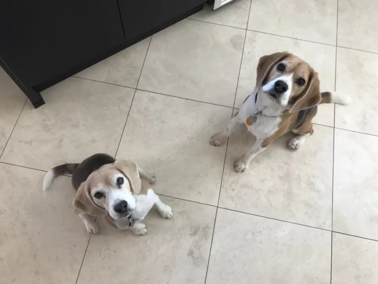 IMG 7470 1920w.jpg 768x576