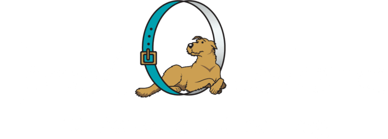 LOGO with Lettering Turquoise Collar PNG From Cheaptotes.png 1698271161.png 768x275