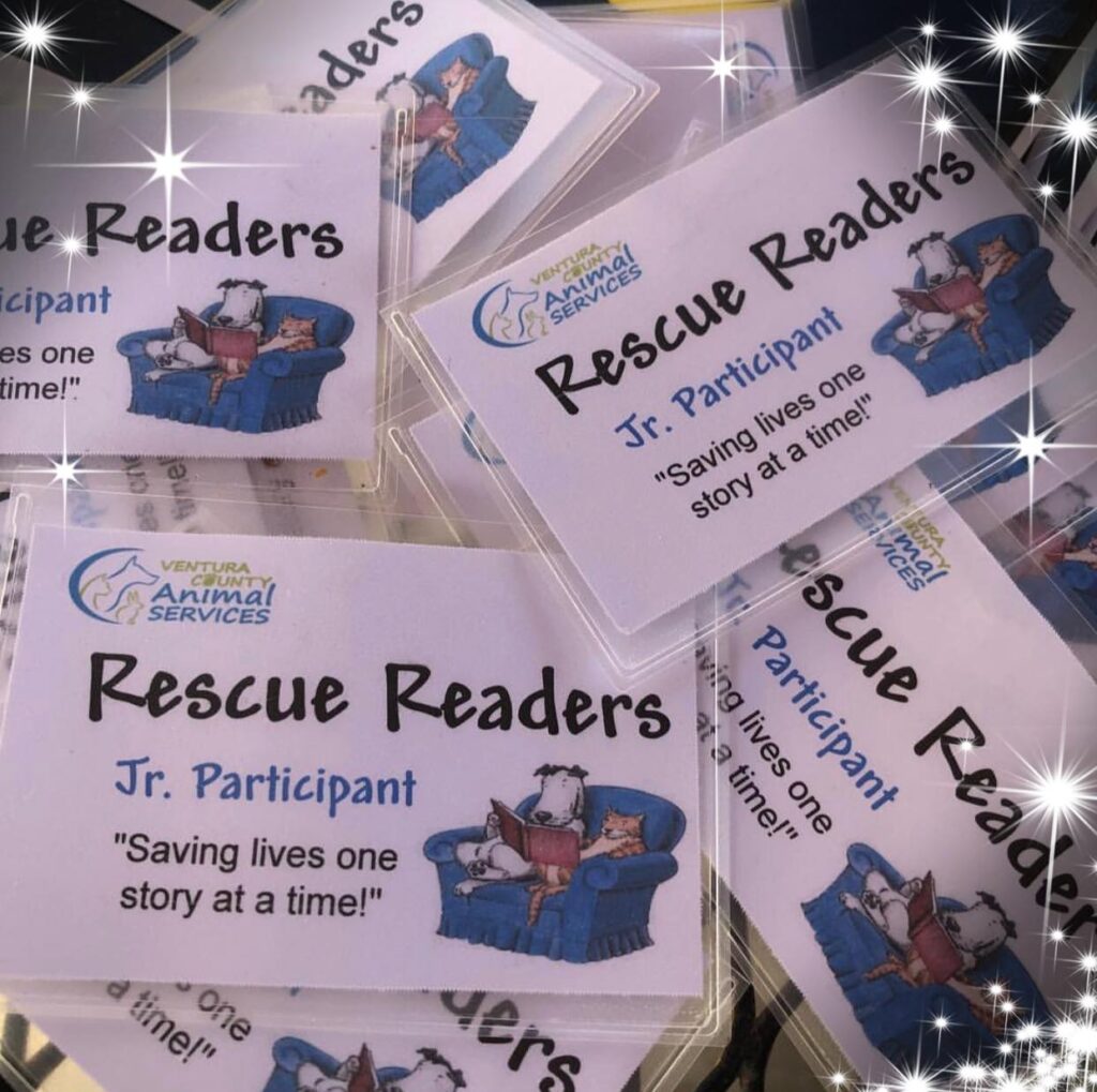 48414966 2283800638311507 8859802260679426048 n 1024x1019