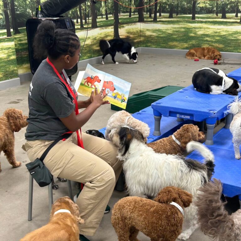 517093987 1274026330749894 7033753493562091382 n 768x768