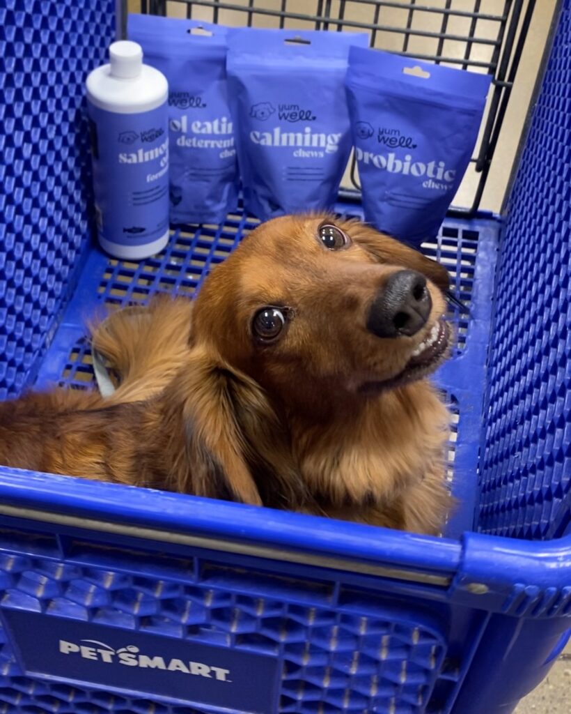 528306176 1296244228528104 6149730703379105337 n 820x1024