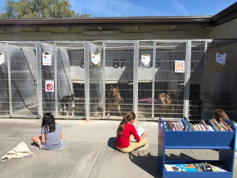 56355342 1967789923329974 7663075323763752960 n 768x576