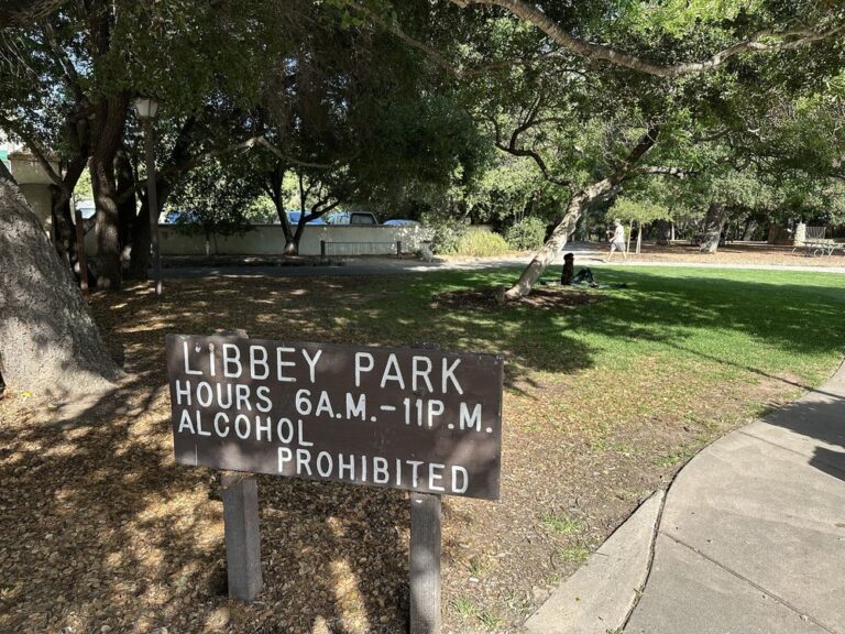 Libbey Park 768x576