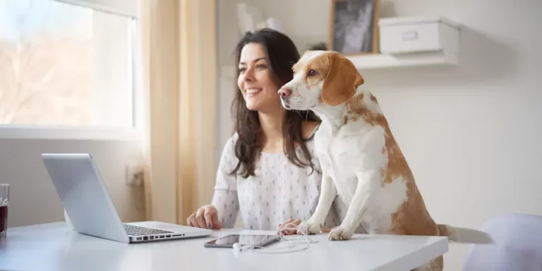 NVA Home Dog Woman Laptop.jpeg 768x384