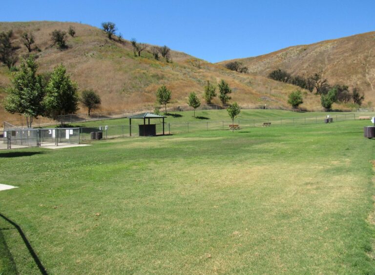 Oak Cyn Dog 3a 768x564