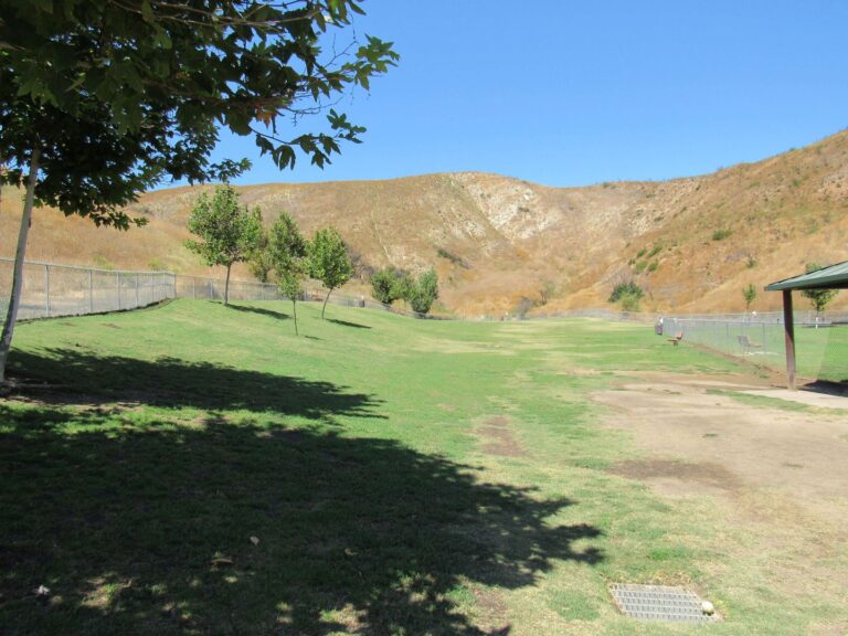 Oak Cyn Dog 4a 768x576