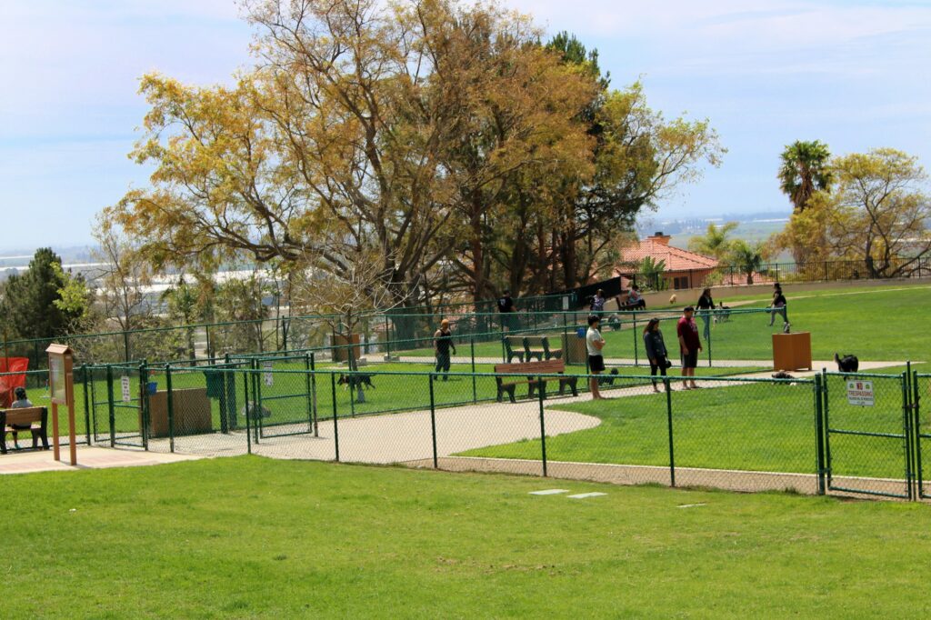 SpringvilleDogPark 4 1024x682