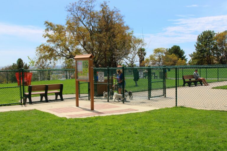 SpringvilleDogPark 9 768x512